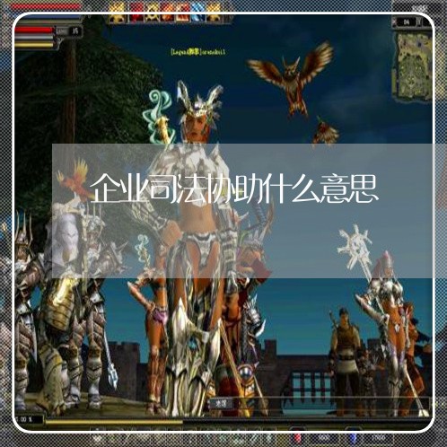 企业司法协助什么意思