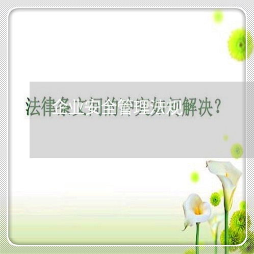 企业安全管理法规 企业安全管理法规