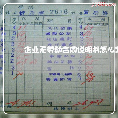 企业无劳动合同说明书怎么写/2023060893715
