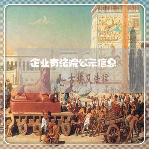 企业有法院公示信息