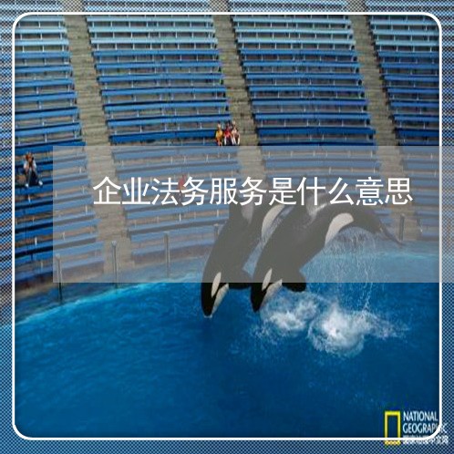 企业法务服务是什么意思