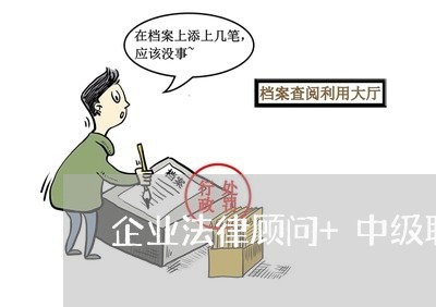 企业法律顾问+中级职称 企业法律顾问+中级职称