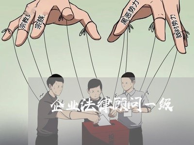 企业法律顾问一级 企业法律顾问一级