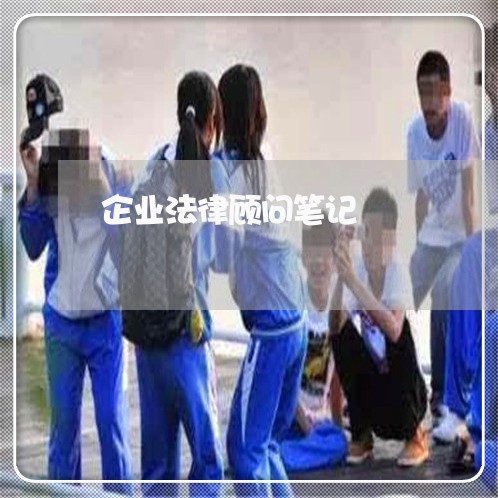 企业法律顾问笔记/2023061774826
