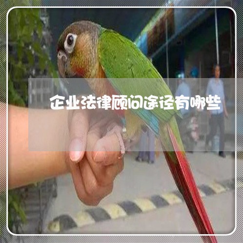 企业法律顾问途径有哪些/2023061851583