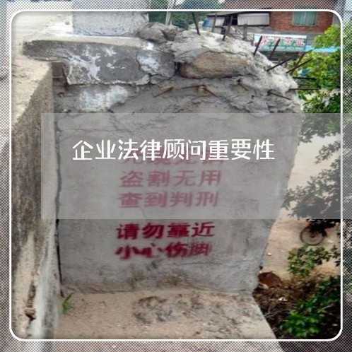企业法律顾问重要性/2023061985149 企业法律顾问重要性/2023061985149