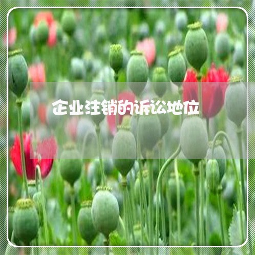 企业注销的诉讼地位