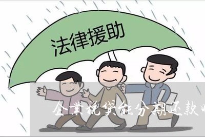 企业税贷能分期还款吗/2023120884038