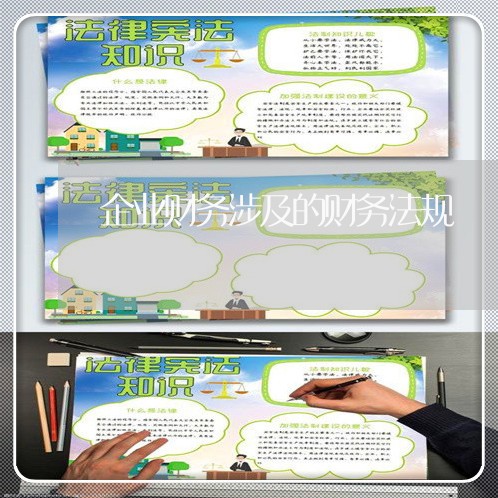 企业财务涉及的财务法规