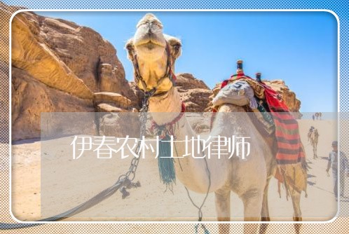 伊春农村土地律师