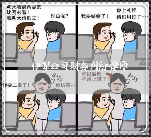 伊犁公司财务纠纷律师