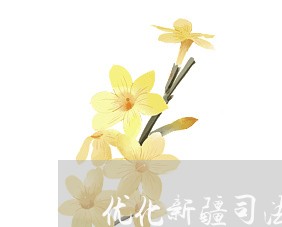 优化新疆司法职权配置