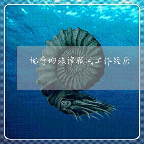 优秀的法律顾问工作经历/2023061823595
