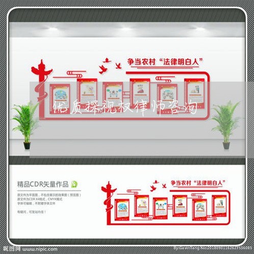 优质探视权律师咨询