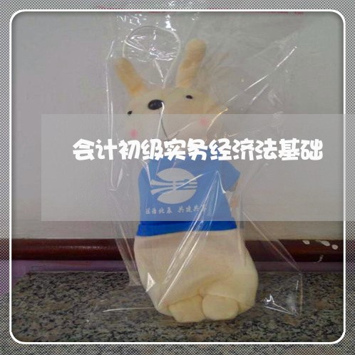 会计初级实务经济法基础