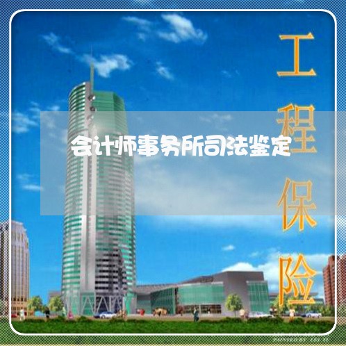 会计师事务所司法鉴定