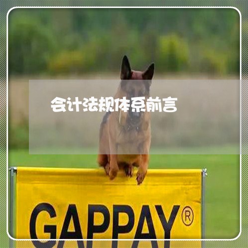 会计法规体系前言 会计法规体系前言