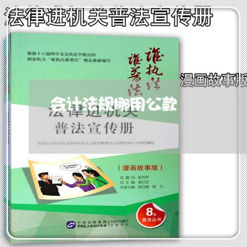 会计法规挪用公款 会计法规挪用公款