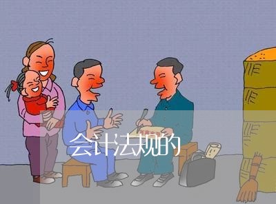 会计法规的 会计法规的