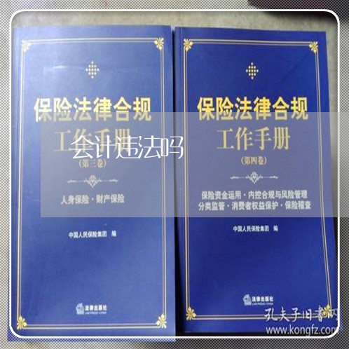 会计违法吗