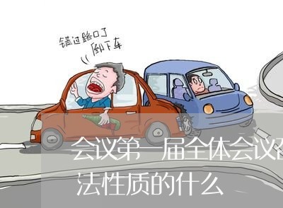 会议第一届全体会议召开通过了具有临时宪法性质的什么