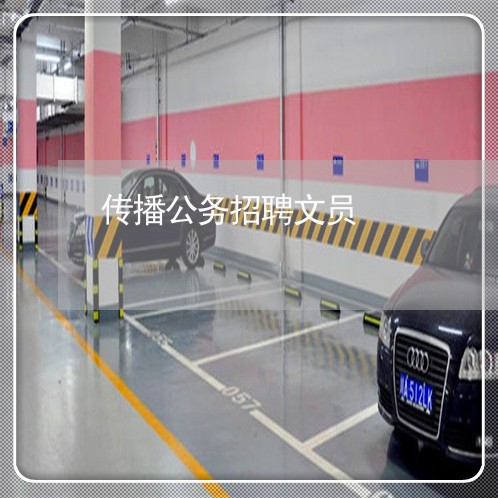 传播公务招聘文员