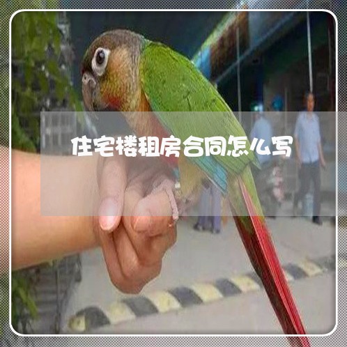 住宅楼租房合同怎么写/2023011638262 住宅楼租房合同怎么写/2023011638262