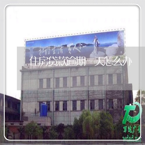 住房贷款逾期一天怎么办/2023041805248