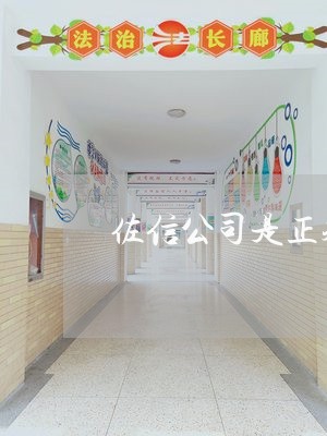 佐信公司是正规公司吗 佐信公司是正规公司吗