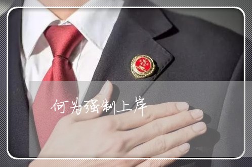 何为强制上岸/2023100725162