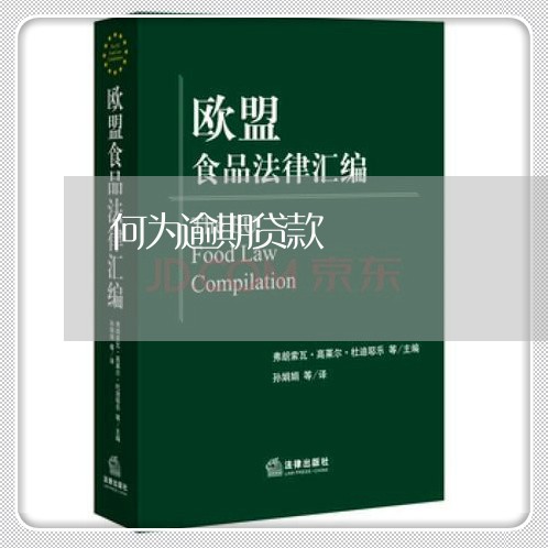 何为逾期贷款 何为逾期贷款