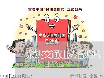 余姚交通违法看照片
