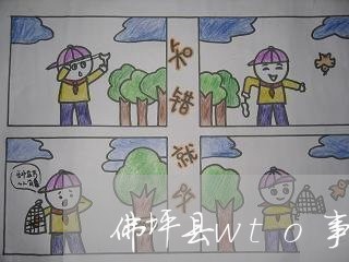 佛坪县wto事务律师咨询电话 佛坪县wto事务律师咨询电话
