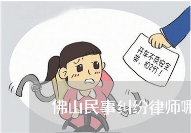 佛山民事纠纷律师哪家好