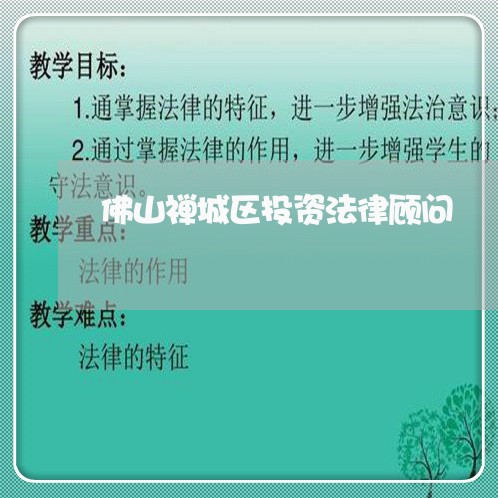 佛山禅城区投资法律顾问/2023061903836