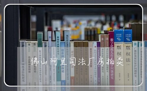 佛山阿里司法厂房拍卖