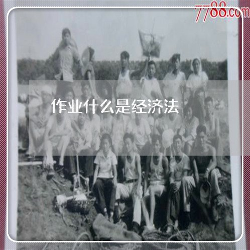 作业什么是经济法 作业什么是经济法