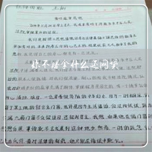 你不赌拿什么还网贷/2023120739250