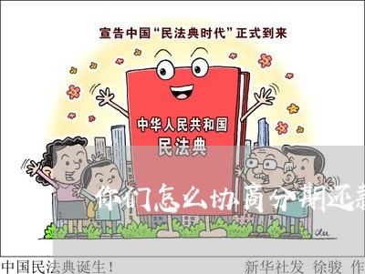 你们怎么协商分期还款的/2023110999313