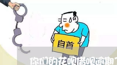 你们的花呗借呗逾期了吗/2023022747483