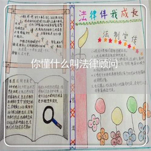 你懂什么叫法律顾问 你懂什么叫法律顾问