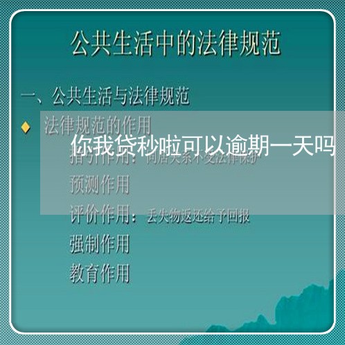 你我贷秒啦可以逾期一天吗/2023032675905