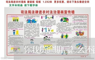 你我贷逾期后怎么还钱/2023031725359