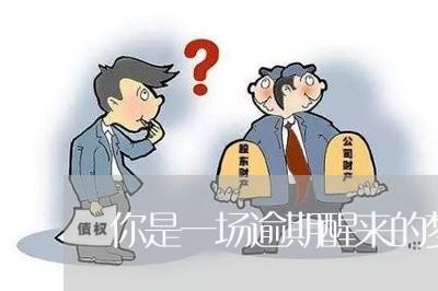 你是一场逾期醒来的梦小说