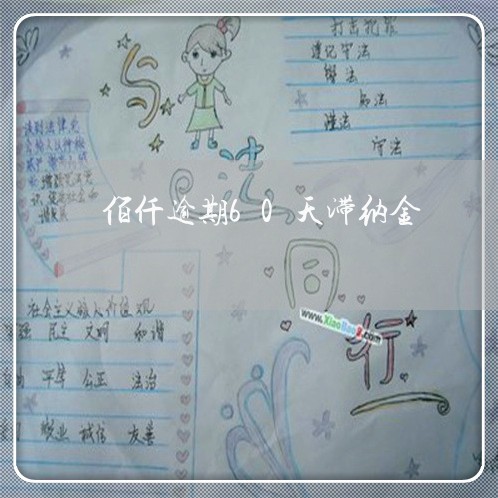 佰仟逾期60天滞纳金