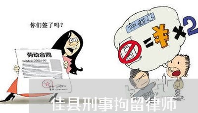 佳县刑事拘留律师