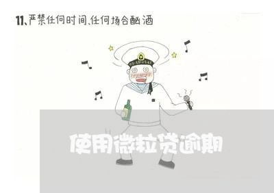 使用微粒贷逾期/2023071404809