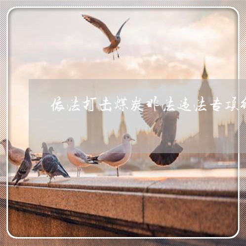 依法打击煤炭非法违法专项行动 依法打击煤炭非法违法专项行动