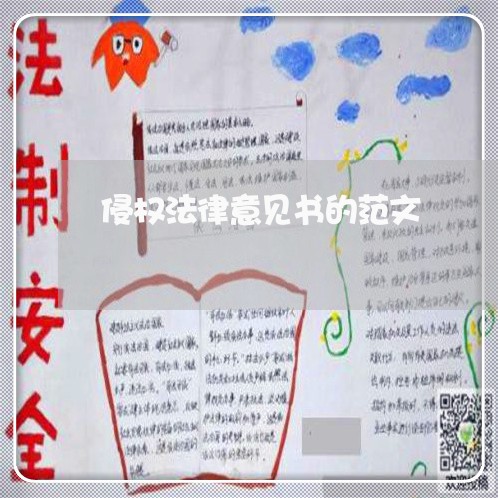 侵权法律意见书的范文 侵权法律意见书的范文