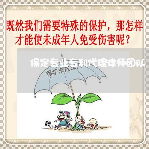 保定专业专利代理律师团队